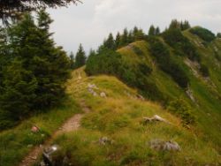 2013-08-25_Risserkogel (223).JPG